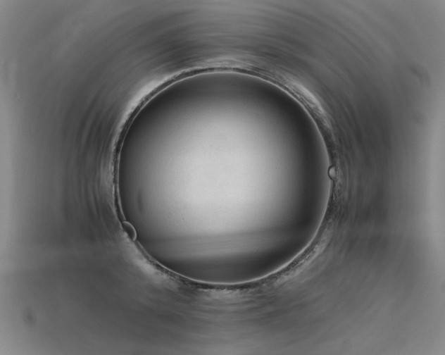 X0000115800800200911131358