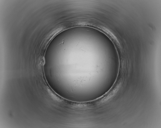 X0000115800801200911131358