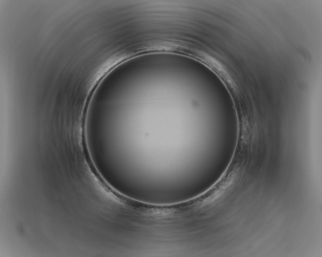 X0000115800802200911131358