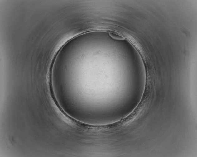 X0000115800803200911131358