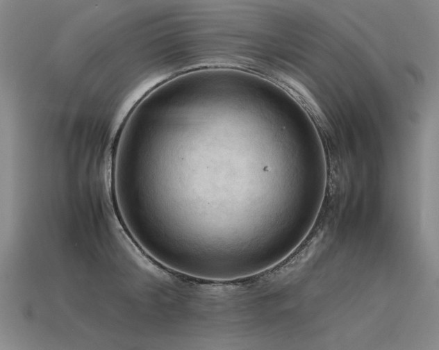 X0000115800804200911131358