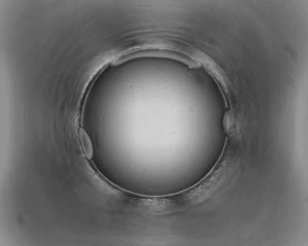 X0000115800805200911131358