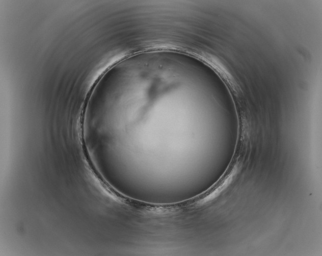 X0000115800806200911131358