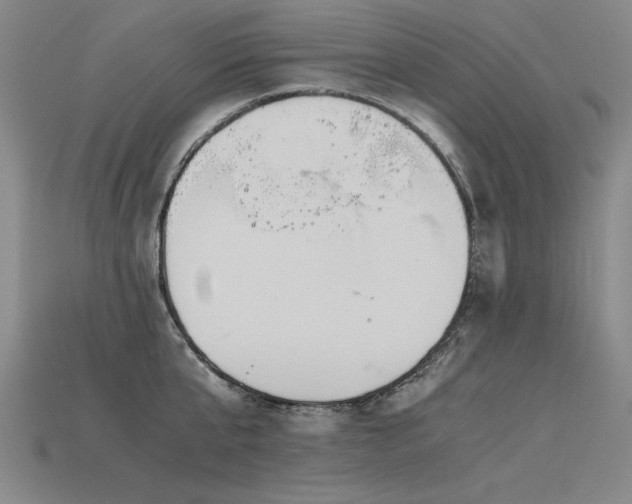X0000115800807200911131358