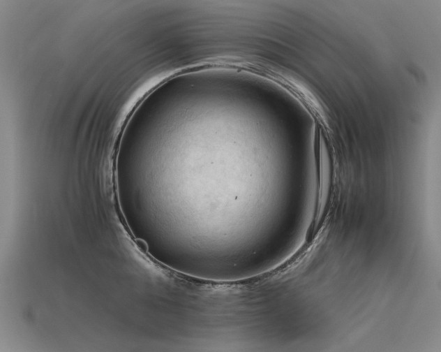 X0000115800808200911131358