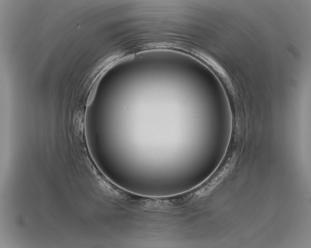 X0000115800809200911131358