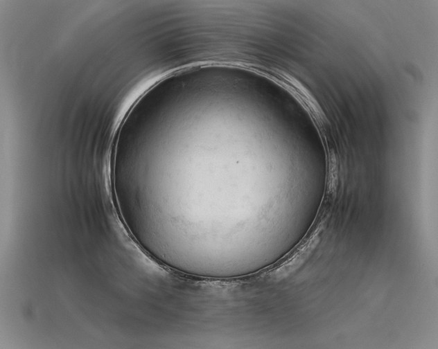X0000115800812200911131358