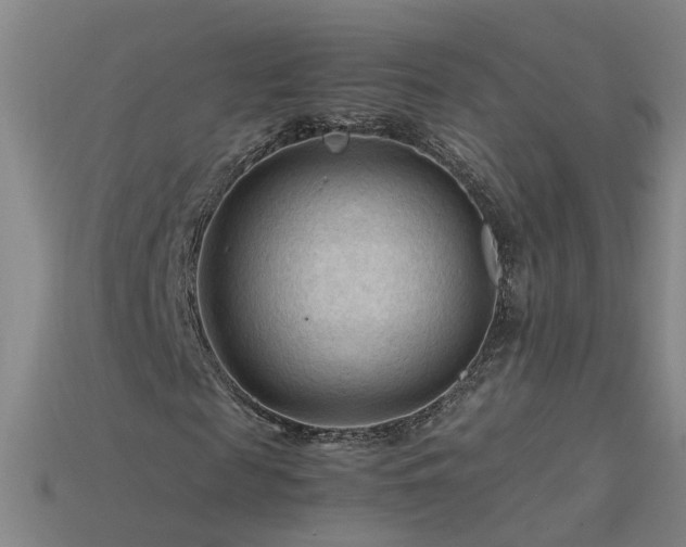 X0000115800817200911131357
