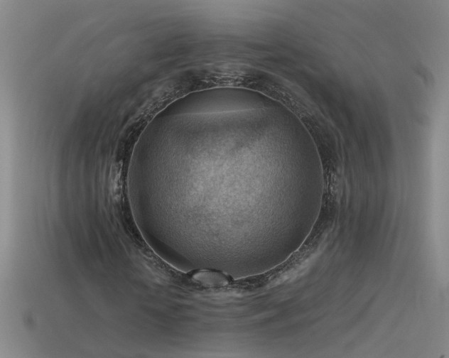 X0000115800818200911131357