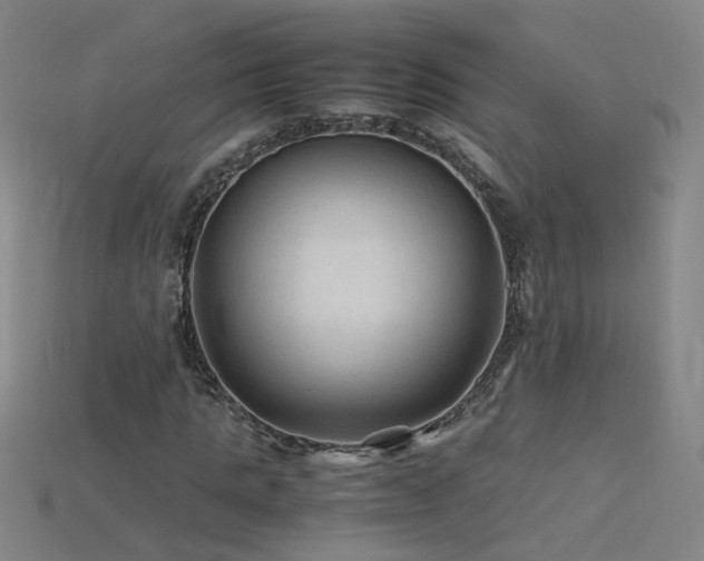 X0000115800821200911131357