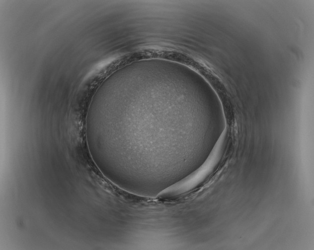 X0000115800822200911131357
