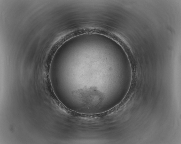 X0000115800823200911131357