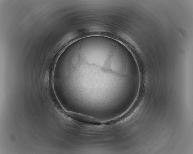 X0000115800825200911131357