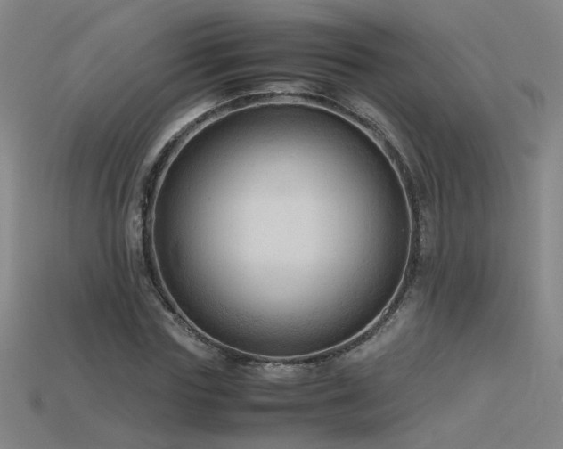X0000115800827200911131357
