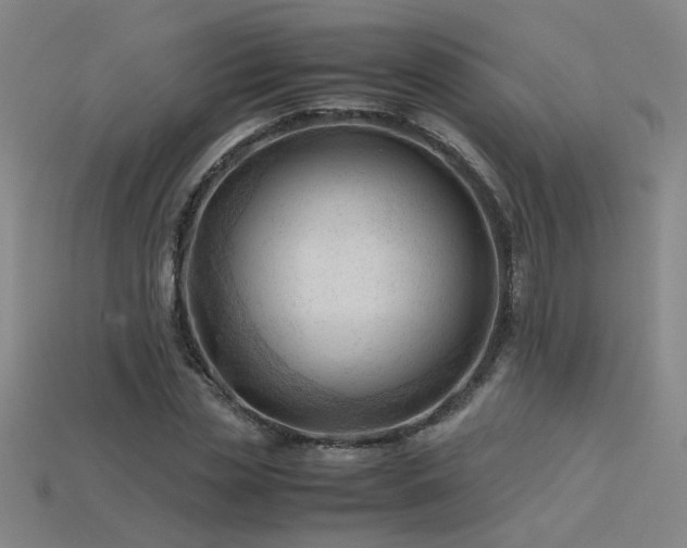 X0000115800829200911131357