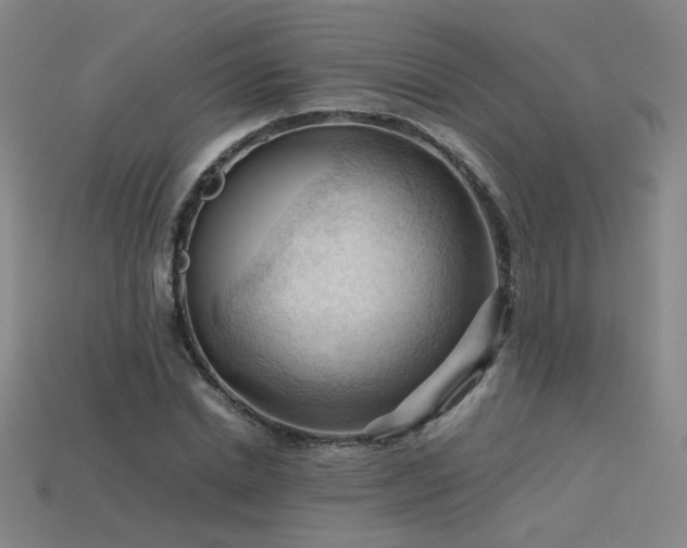 X0000115800830200911131357
