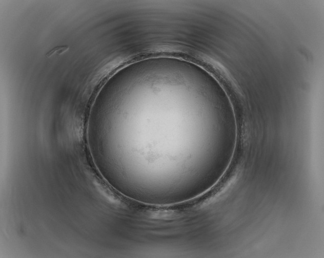 X0000115800833200911131357