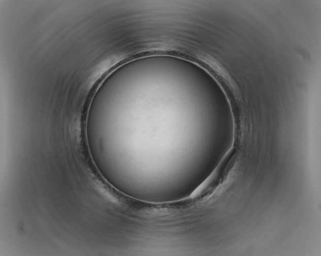X0000115800834200911131357