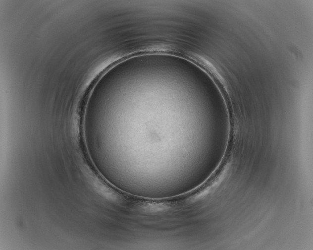 X0000115800835200911131357