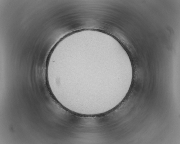 X0000115800836200911131357