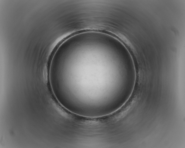 X0000115800838200911131357