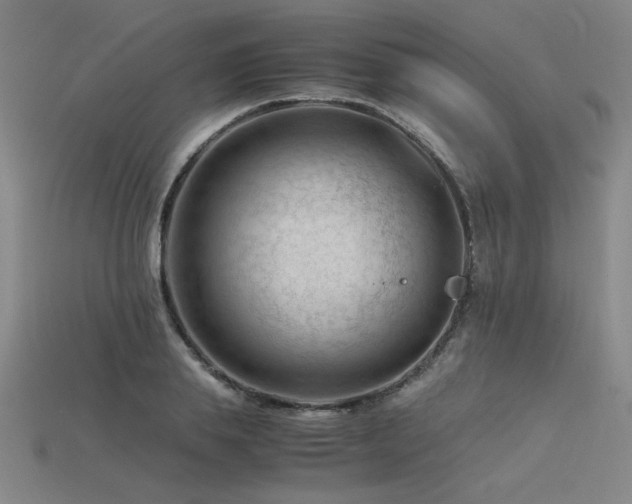 X0000115800839200911131357