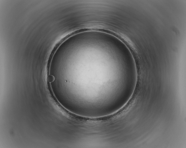 X0000115800840200911131357