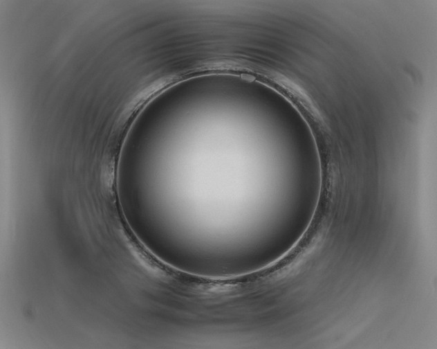 X0000115800841200911131357