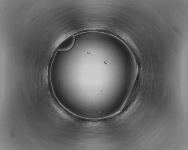 X0000115800842200911131357