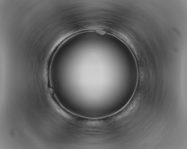 X0000115800843200911131357