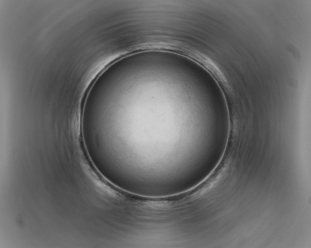 X0000115800844200911131357