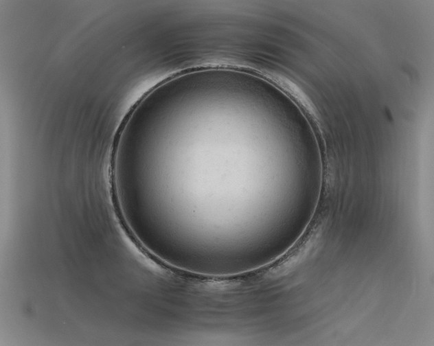 X0000115800847200911131357