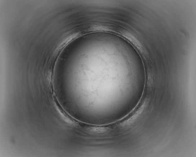 X0000115800849200911131357