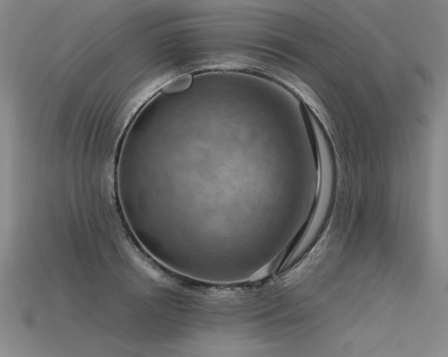 X0000115800850200911131358