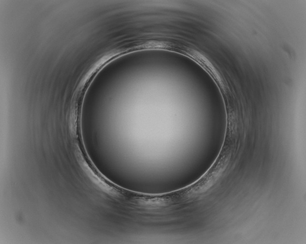 X0000115800851200911131358