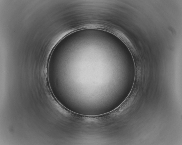 X0000115800852200911131358