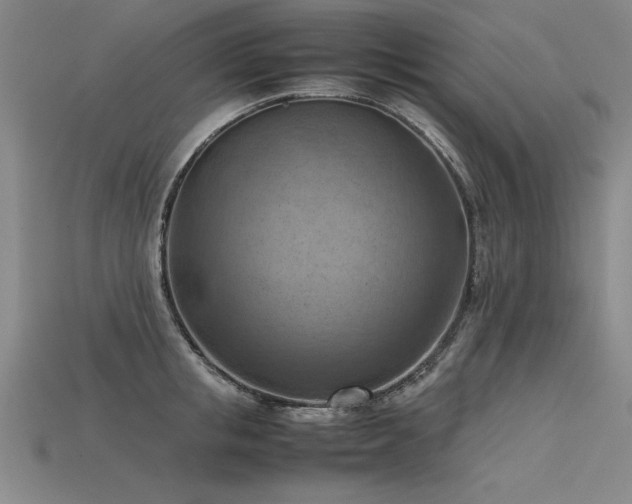 X0000115800853200911131358