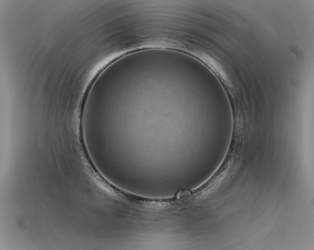 X0000115800854200911131358
