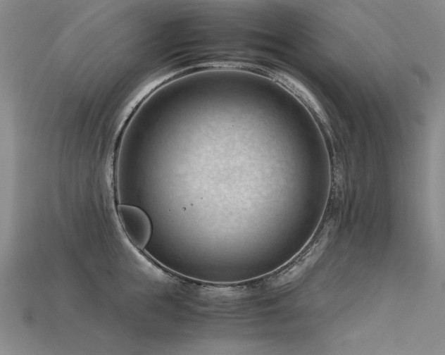 X0000115800855200911131358