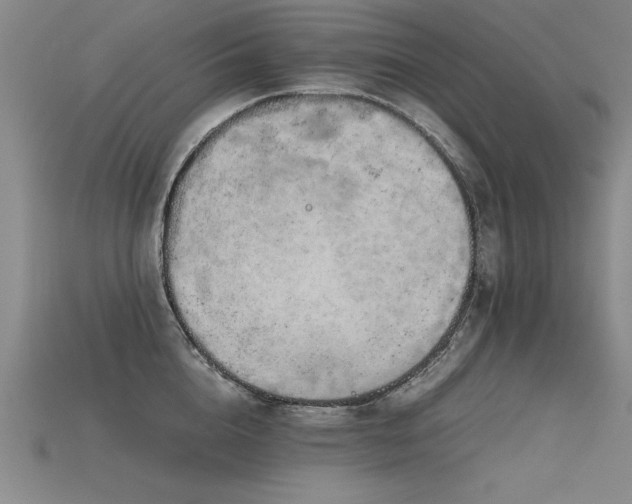 X0000115800856200911131358