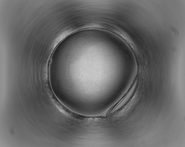 X0000115800858200911131358