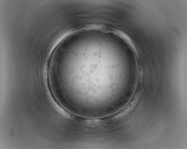 X0000115800859200911131358
