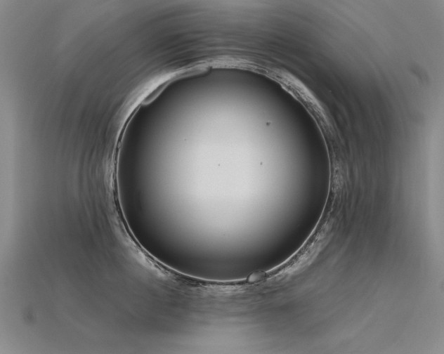 X0000115800860200911131358