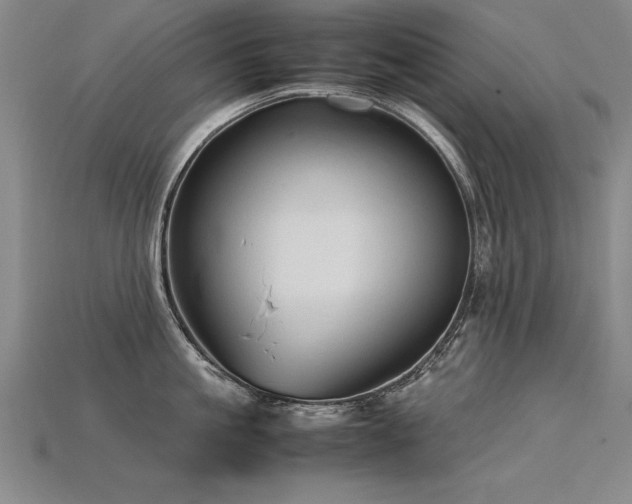 X0000115800861200911131358