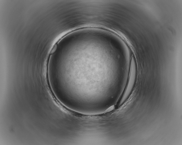 X0000115800862200911131358