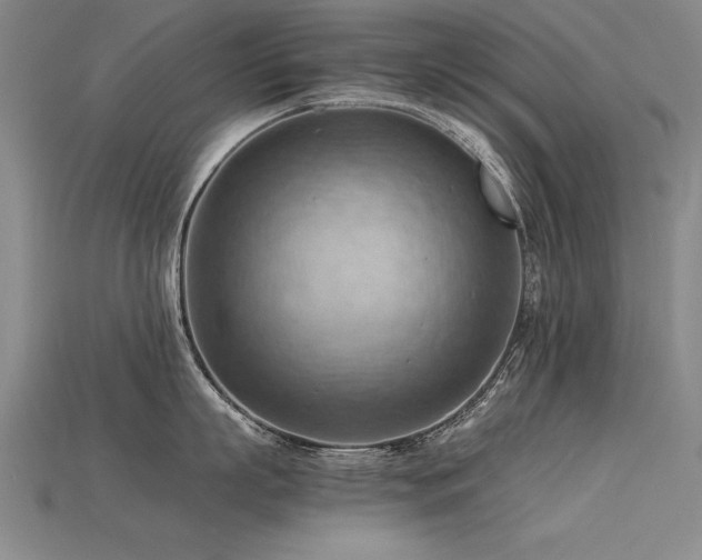 X0000115800863200911131358