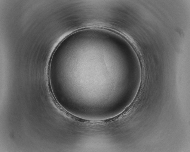 X0000115800864200911131358