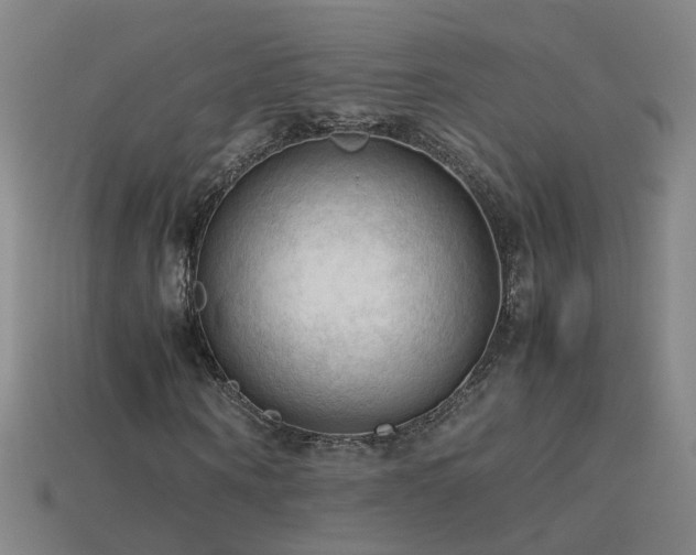 X0000115800866200911131357