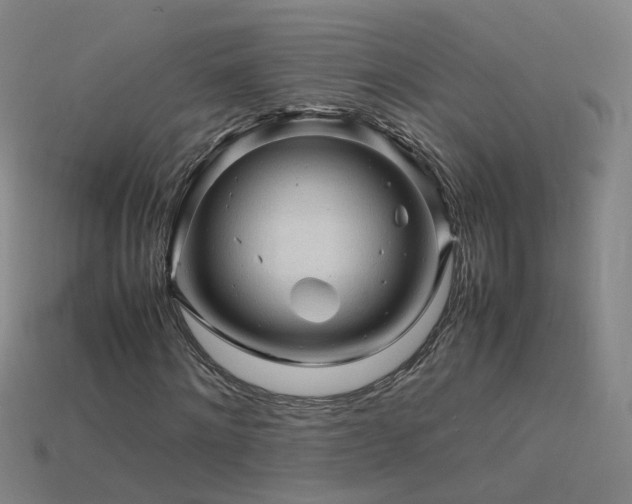 X0000115800868200911131357