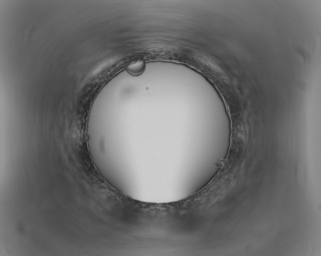 X0000115800869200911131357